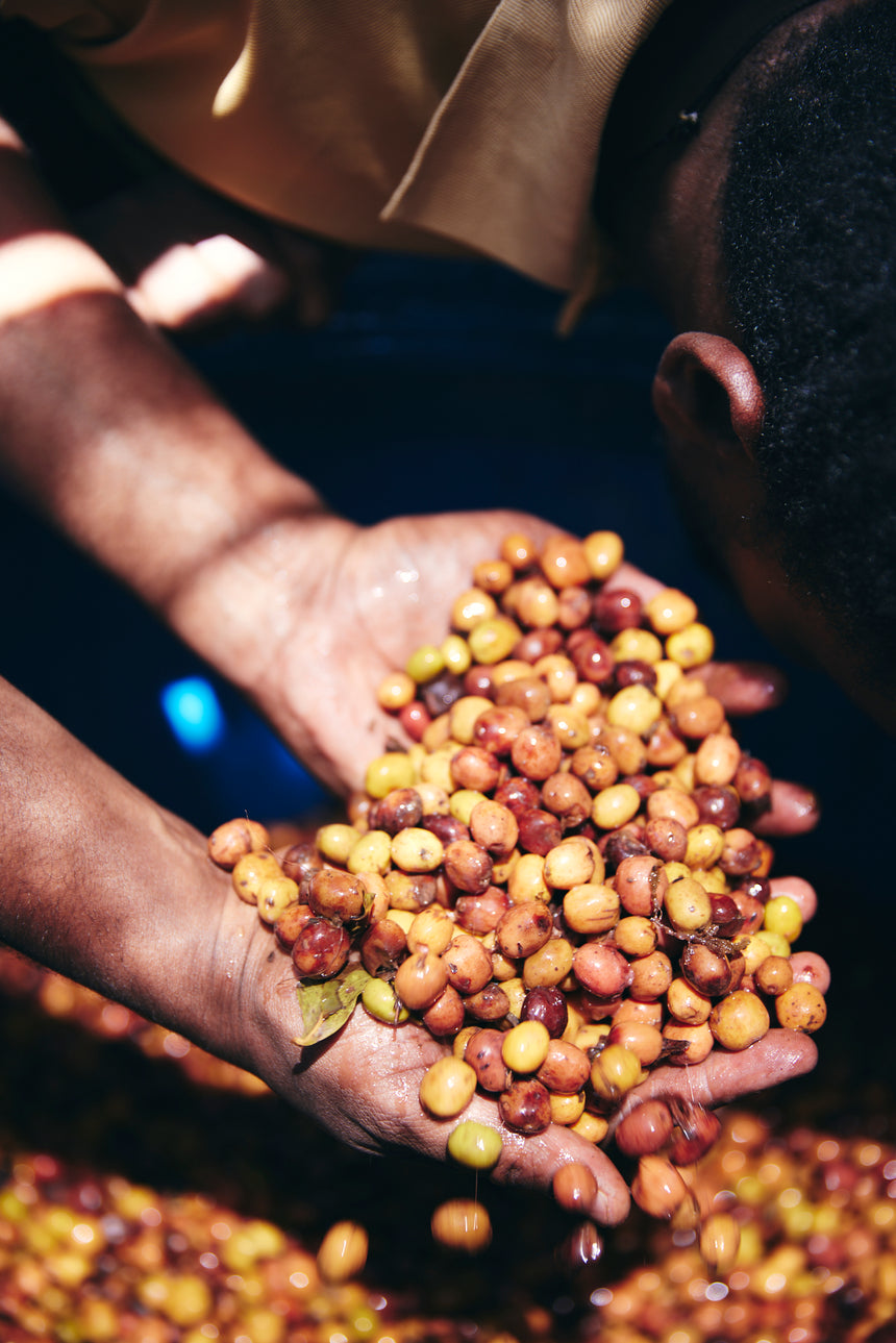 Ethiopia | Yaye