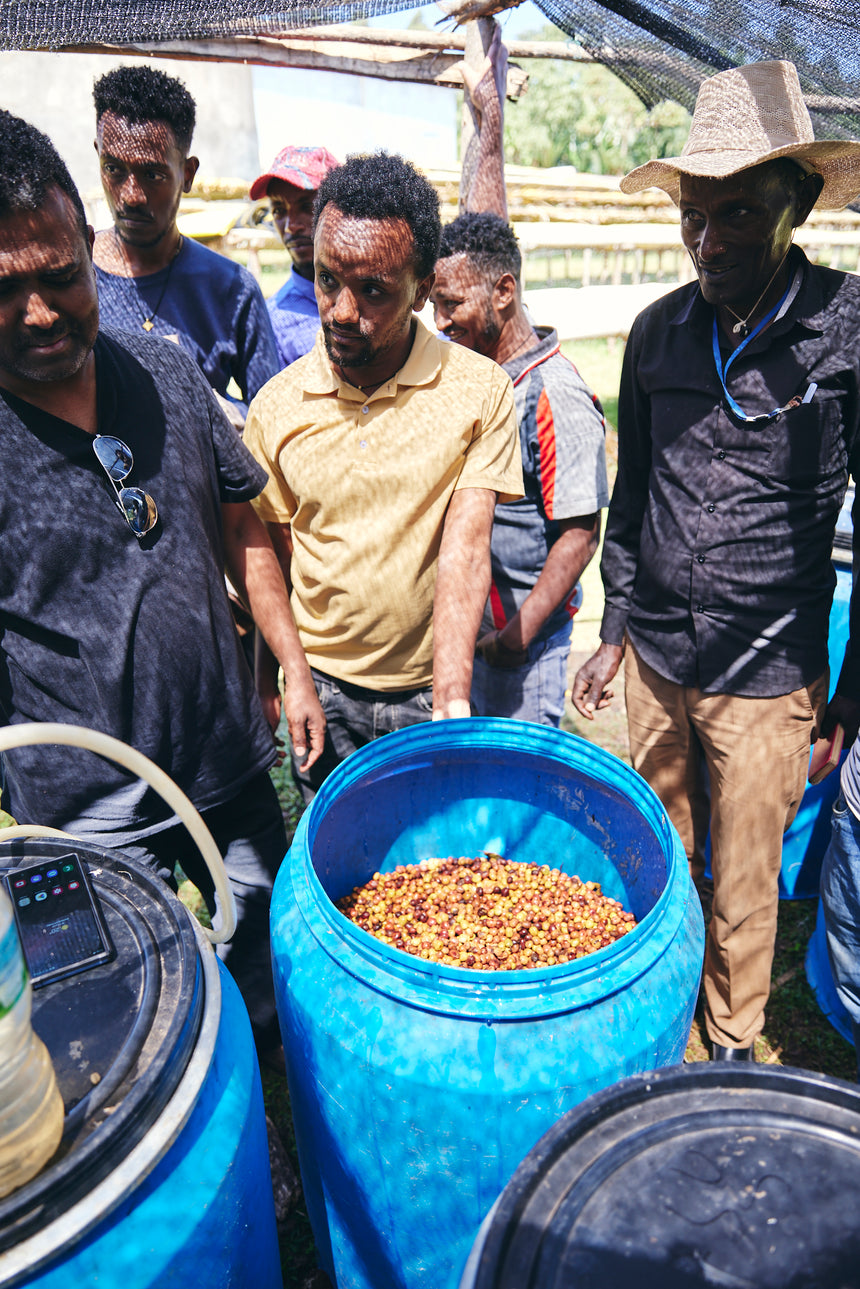 Ethiopia | Yaye
