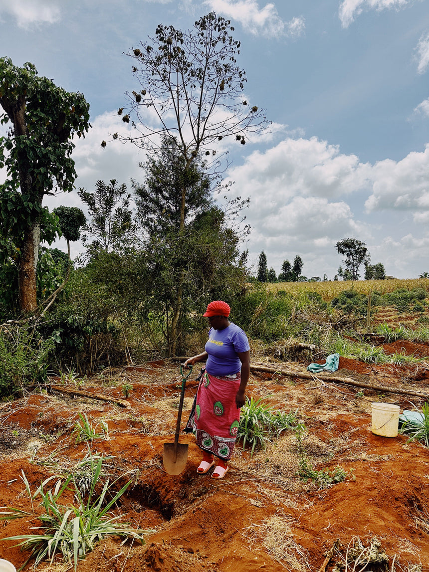 Kenya | Kagumo