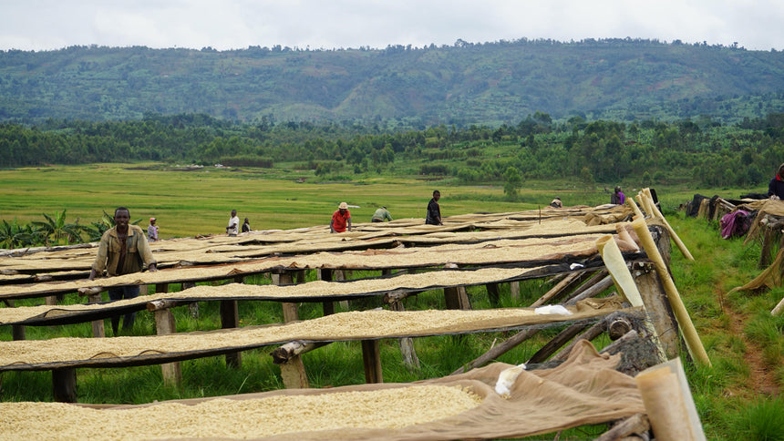Burundi | Mubuga Ngozi