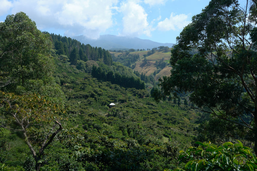 Costa Rica | Cerro San Luis