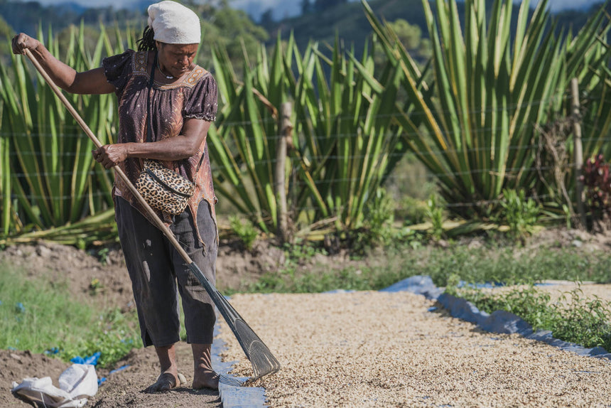 Papua New Guinea | Kindeng