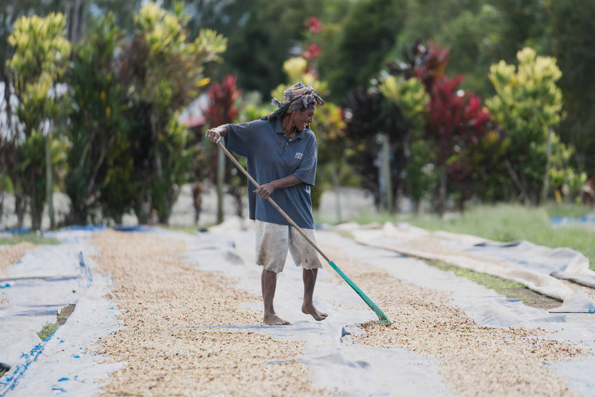 Papua New Guinea | Kindeng