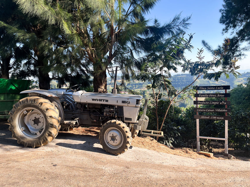 Costa Rica | Cáscara Tea