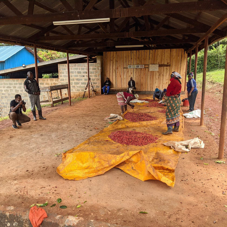 Kenya | Gicherori