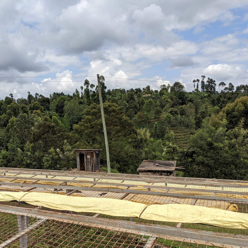 Kenya | Gicherori