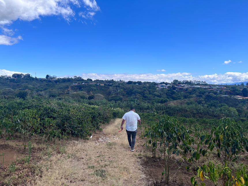 Costa Rica | La Montaña