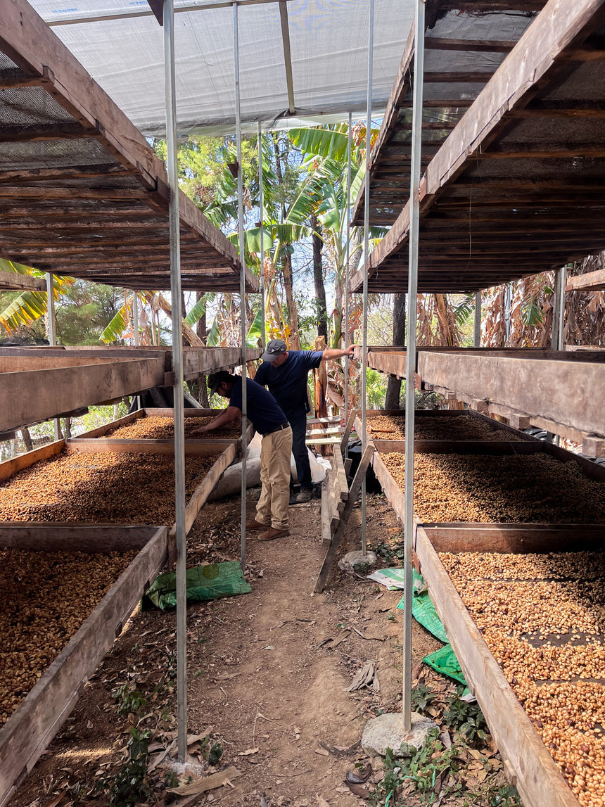 El Salvador | Don Jaime