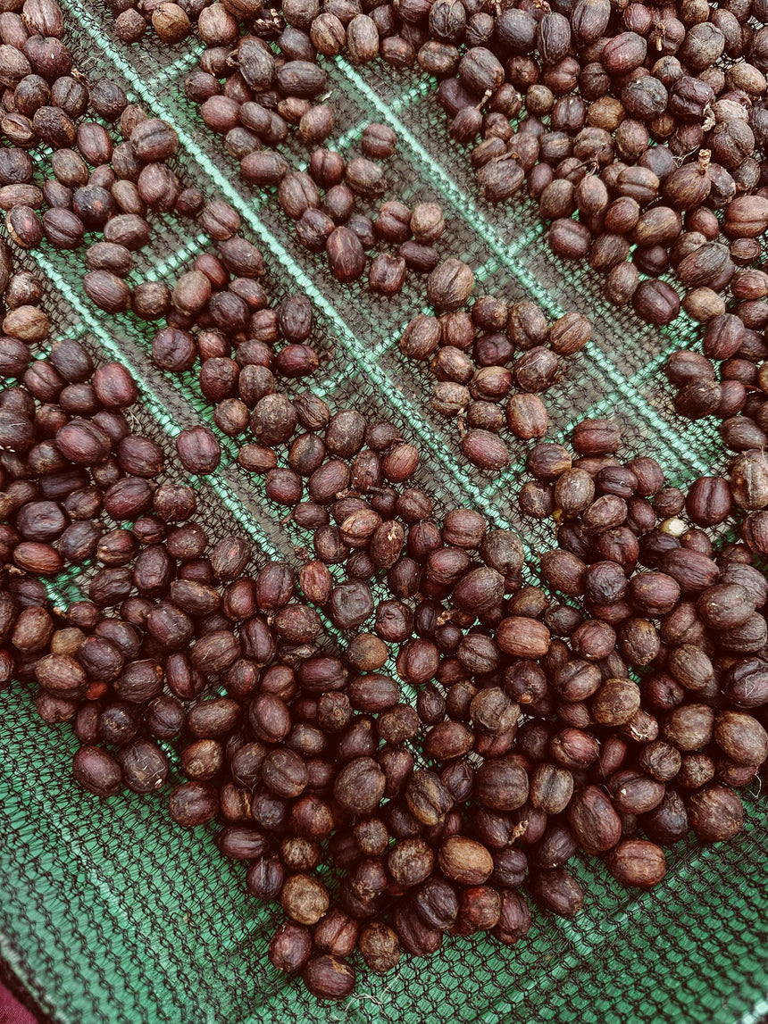 Kenya | Kagumo