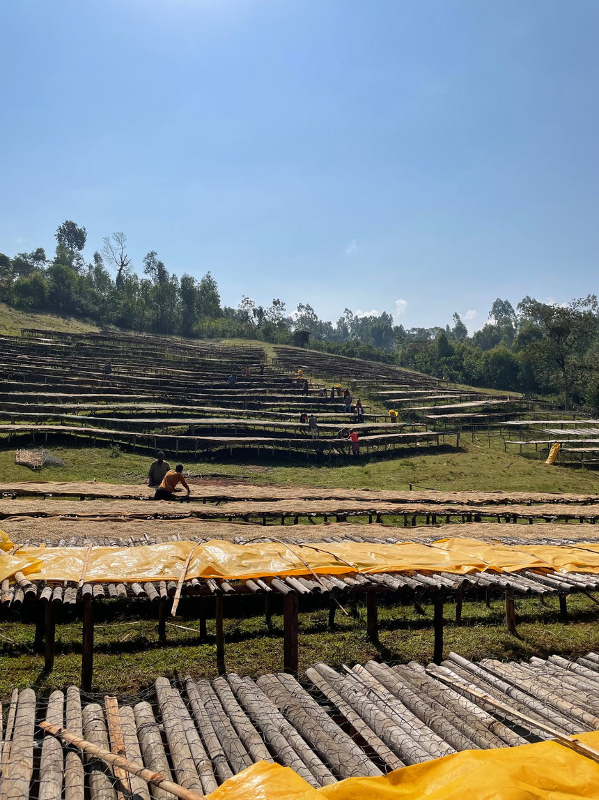 Ethiopia | Sidamo Bombe