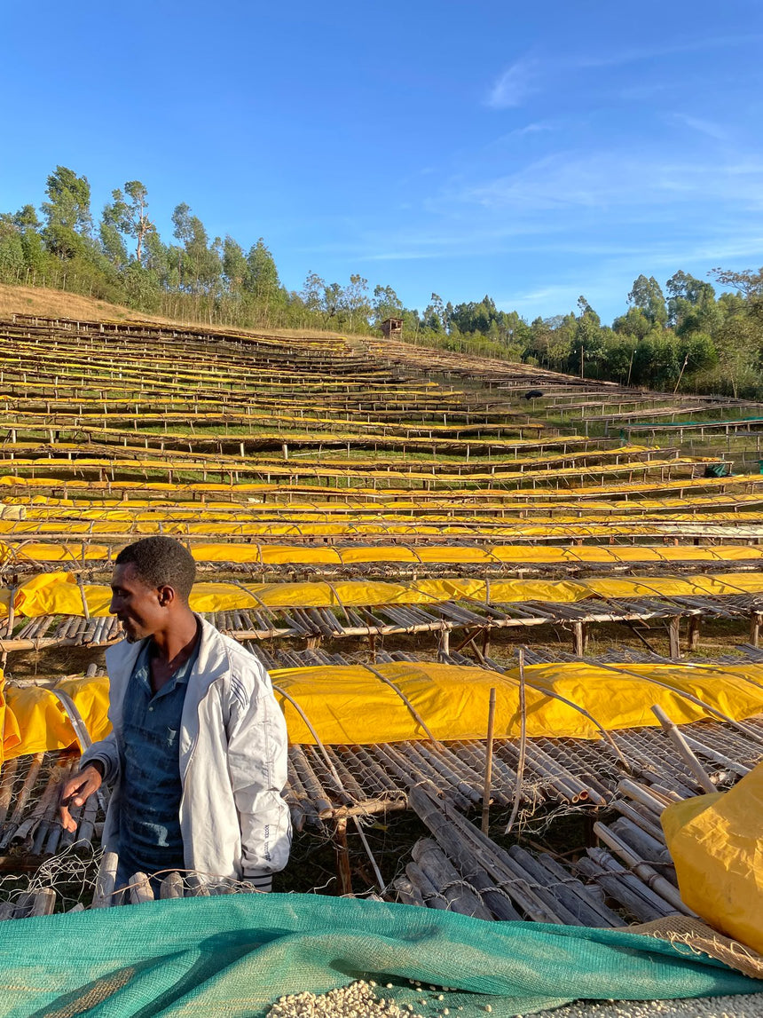 Ethiopia | Sidamo Bombe