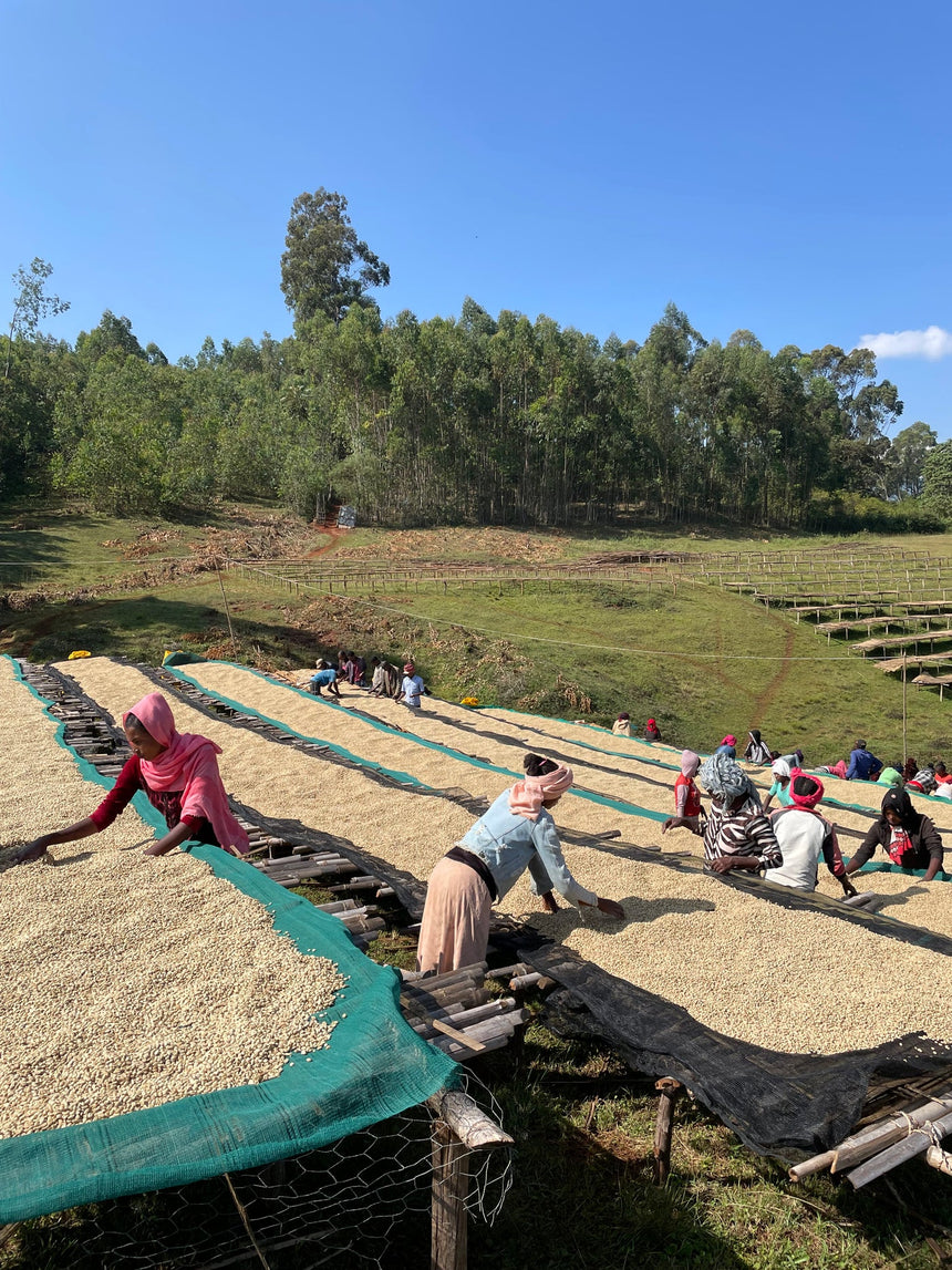 Kenya | Gicherori