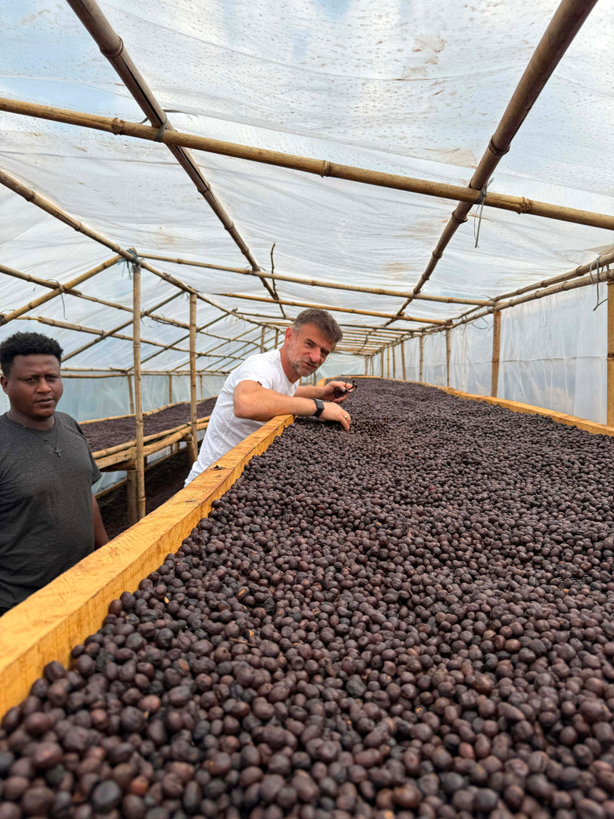 Ethiopia | Amederaro Konga