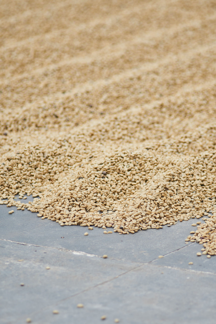 Brazil | Fazenda Bela Época